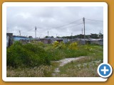 P1020021