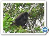 IMG_1060