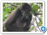 IMG_1063