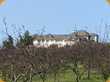 IMG_0697