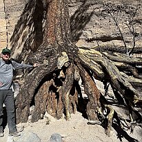 IMG_4305
