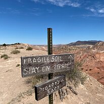 IMG_2634