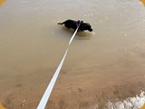 IMG_1514