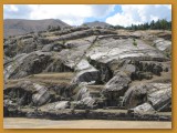 IMG_1395