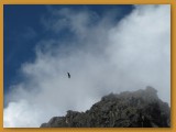 IMG_1425