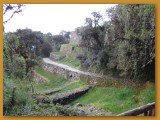 IMG_1439