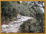 IMG_1457