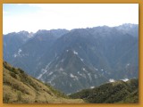 IMG_1461