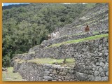 IMG_1479