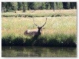 IMG_1743