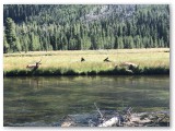 IMG_1744