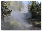 IMG_1872