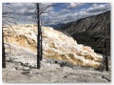 IMG_1889
