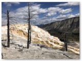 IMG_1890