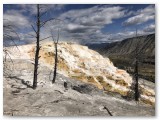 IMG_1891