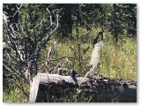 IMG_1910