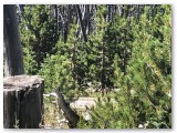 IMG_1914