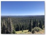 IMG_1919